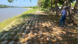 Soluciones de protección de orillas con geosintéticos eficaces, Geomatrix