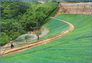 Mantos para control de erosi&oacute;n TRM: soluci&oacute;n clave en taludes, Geomatrix