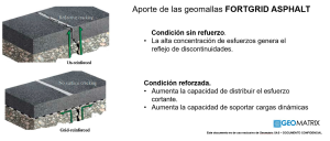 Refuerzo de la capa asfáltica del aeropuerto Int Matecaña., Geomatrix