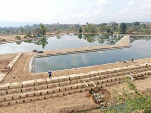Geocontenedor HYDROBLOCK: innovaci&oacute;n para obras hidr&aacute;ulicas, Geomatrix