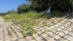 Soluciones de protección de orillas con geosintéticos eficaces, Geomatrix